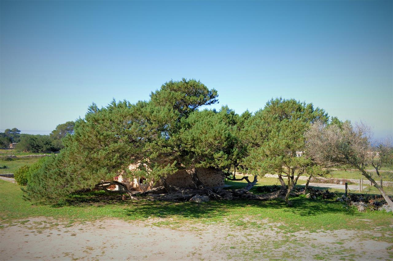 Siamoformentera Bella Villa San Francisco Javier Buitenkant foto
