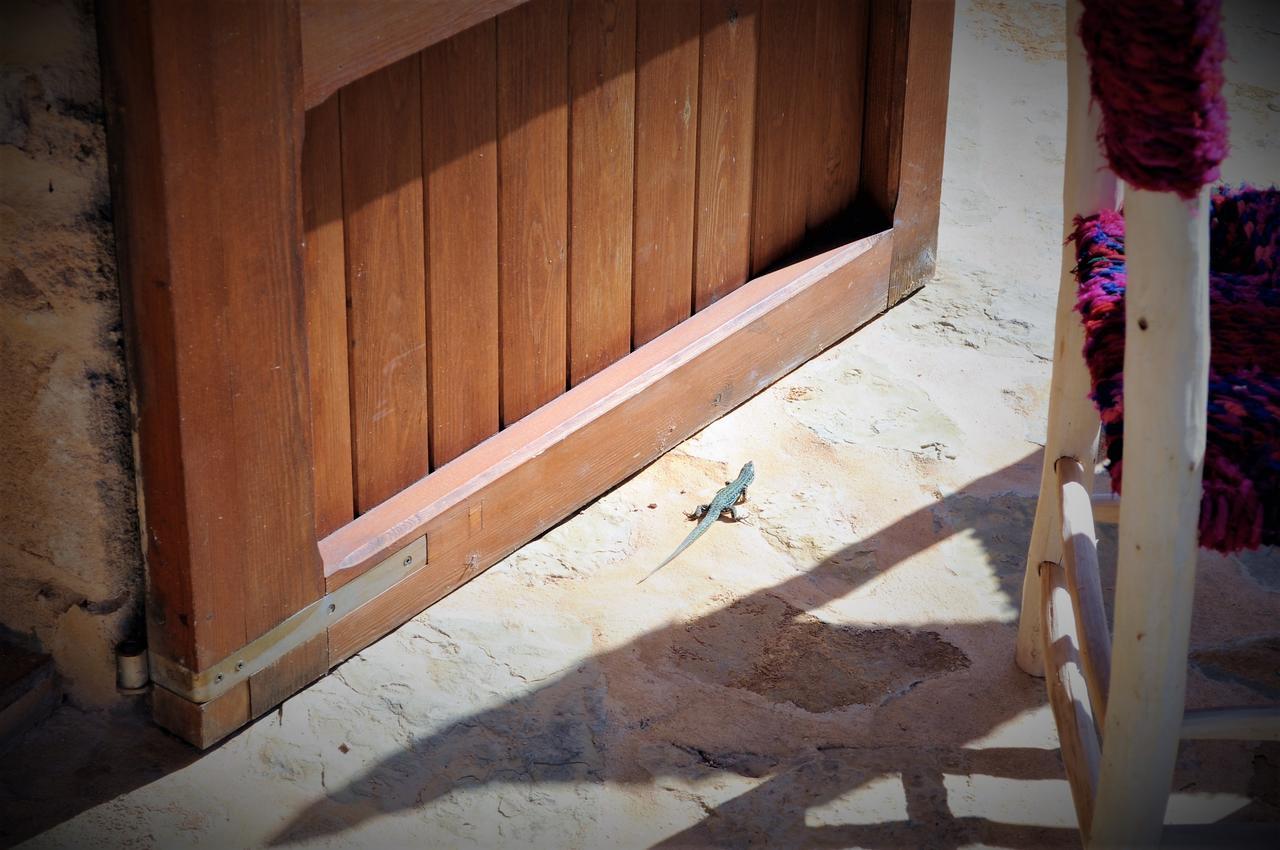 Siamoformentera Bella Villa San Francisco Javier Buitenkant foto